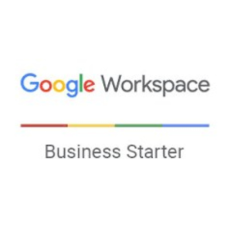 Google Workspace Business Starter Licence na 1 rok s měsíční platbou