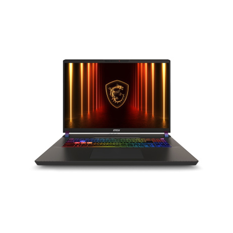 MSI Vector/17 HX AI A2XWJG-031CZ/U9-275HX/17"/2560x1600/32GB/2TB/RTX 5090/W11H/Gray/2R