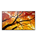32" LED NEC M322,1920x1080,IPS,24/7,450cd