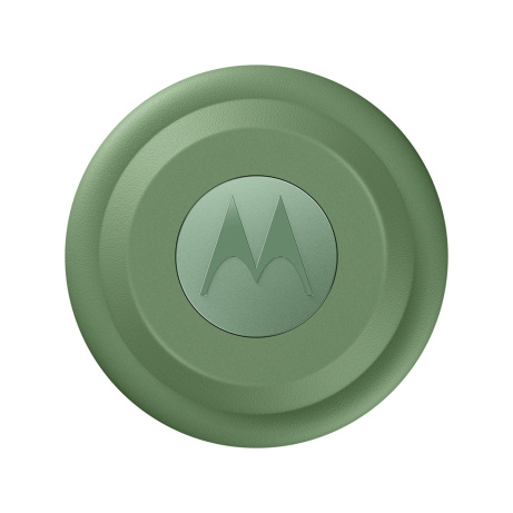 Moto Tag Jade Green